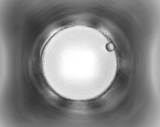 X0000085800836200704091447