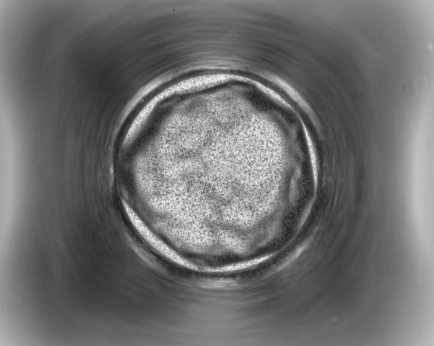 X0000085800837200704091447