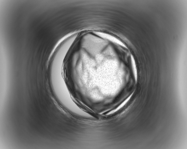 X0000085800838200704091447