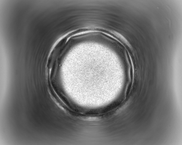 X0000085800839200704091447