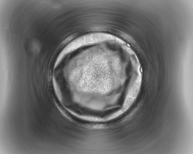 X0000085800841200704091447