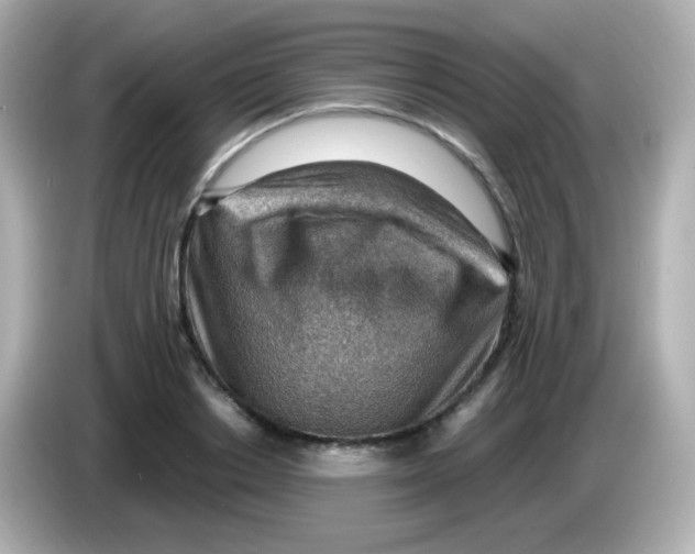 X0000085800842200704091447