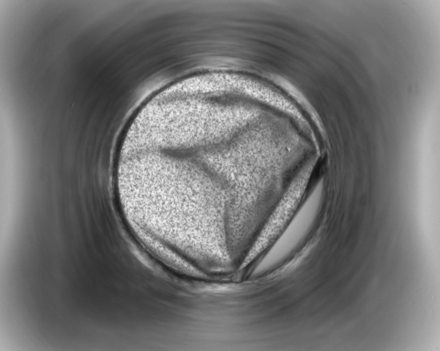 X0000085800845200704091447