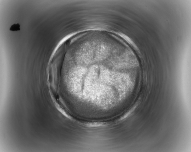 X0000085800846200704091447