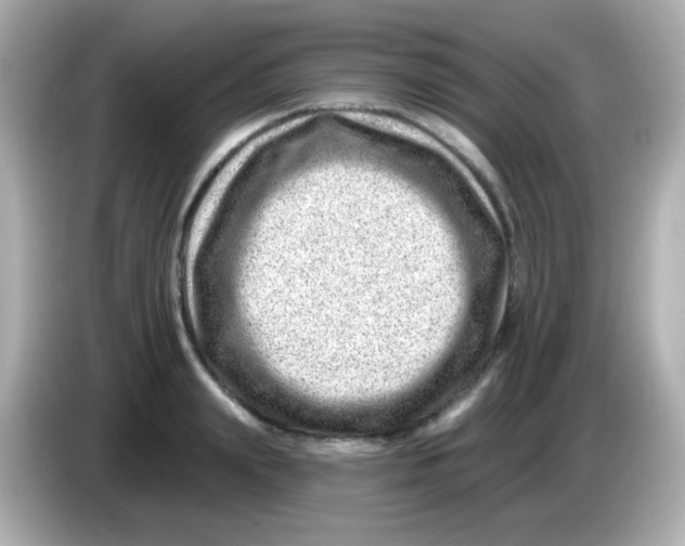 X0000085800847200704091447