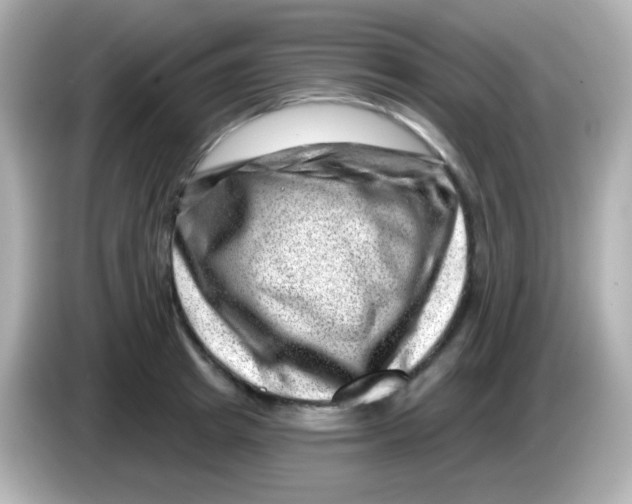 X0000085800849200704091447