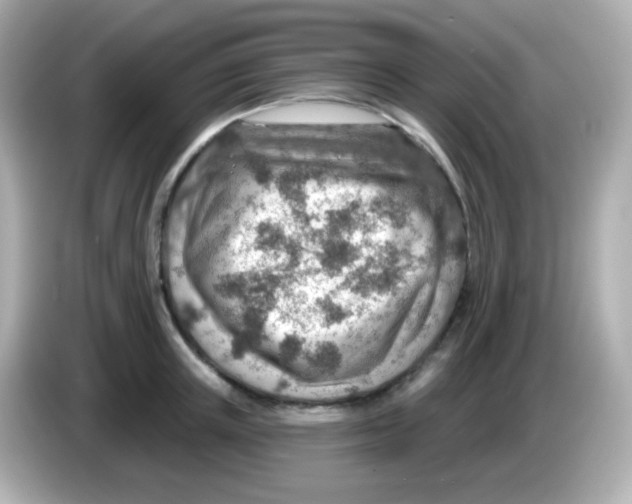 X0000085800851200704091447