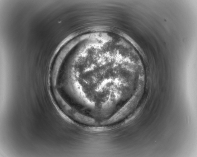 X0000085800853200704091447