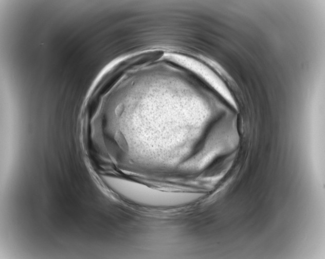 X0000085800854200704091447