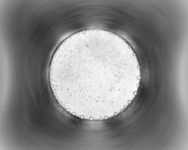 X0000085800856200704091447