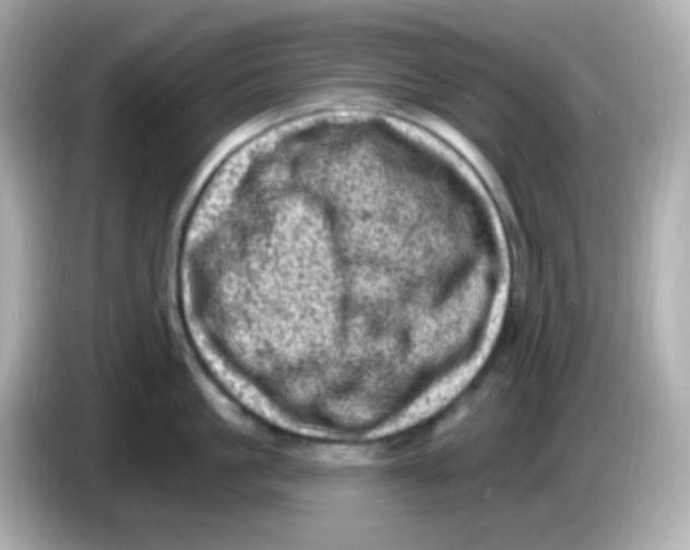 X0000085800861200704091447