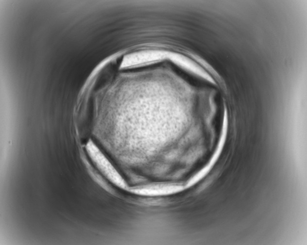 X0000085800862200704091447