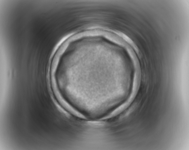 X0000085800863200704091447