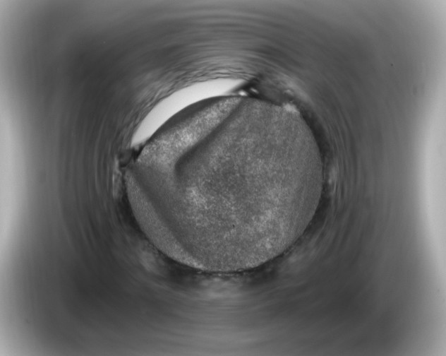 X0000085800868200704091447