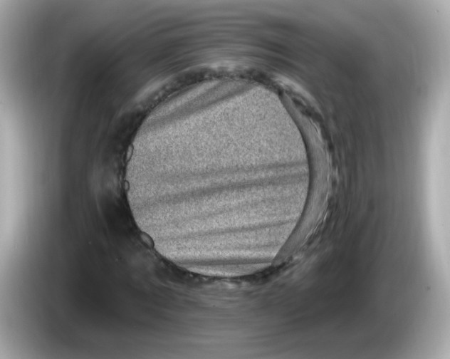 X0000085800869200704091447