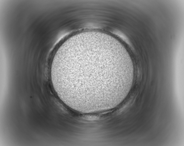 X0000085800878200704091447