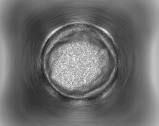 X0000085800879200704091447