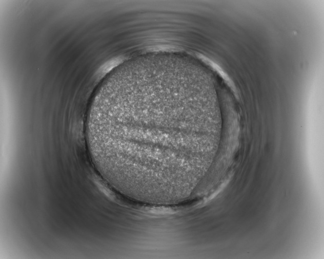 X0000085800881200704091447