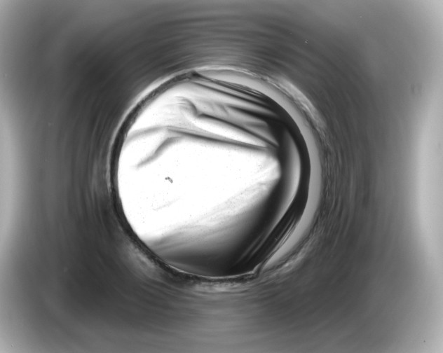 X0000085800884200704091447