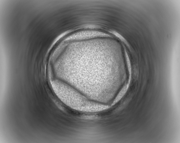 X0000085800886200704091447