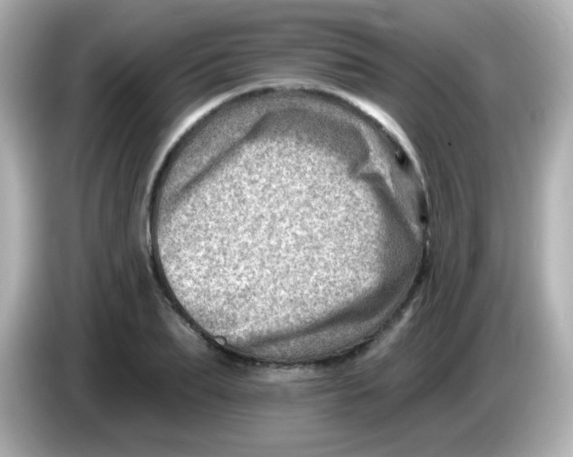 X0000085800887200704091447