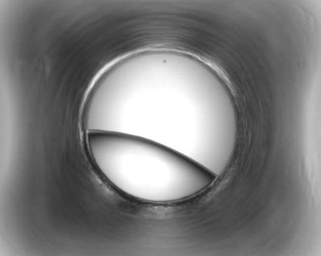 X0000085800888200704091447