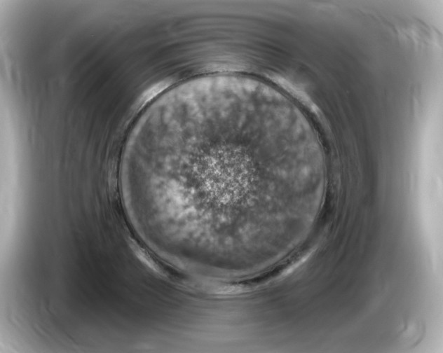 X0000085800889200704091447