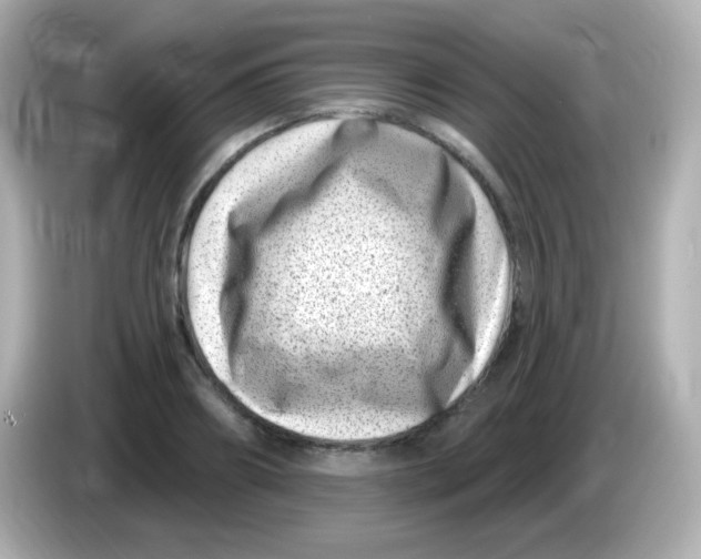 X0000085800890200704091447