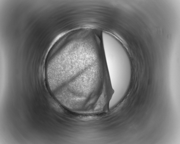 X0000085800891200704091446