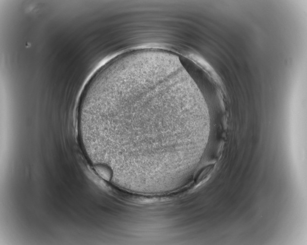 X0000085800892200704091446