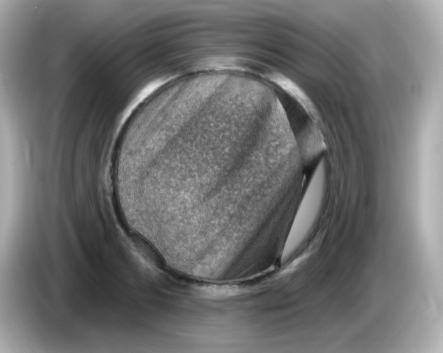 X0000085800893200704091446