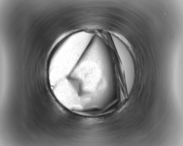 X0000085800894200704091446