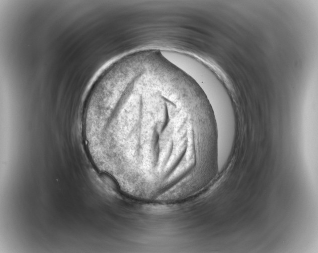 X0000085800896200704091446