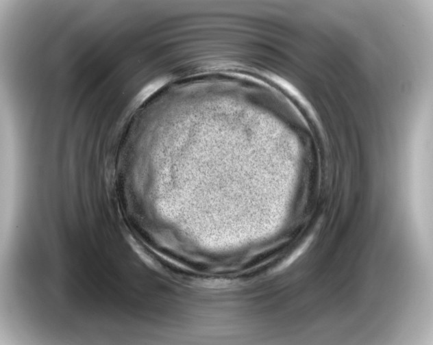 X0000085800897200704091446