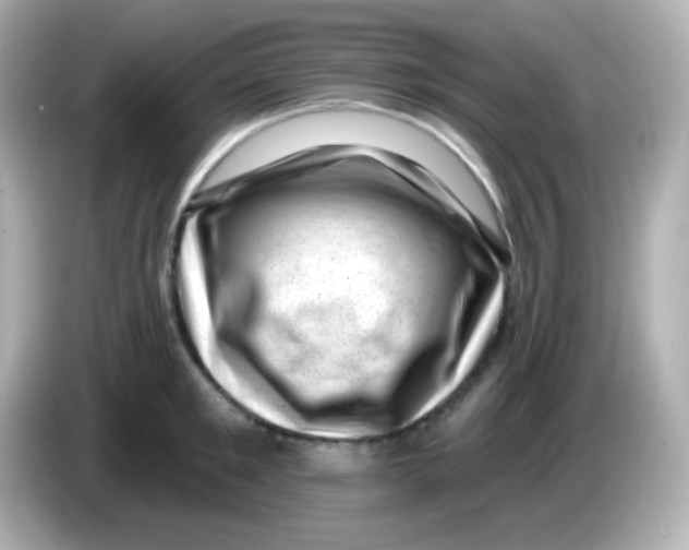 X0000085800901200704091446