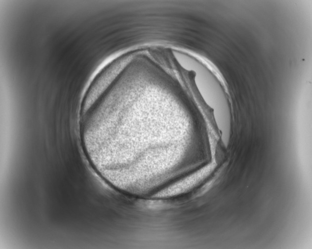 X0000085800903200704091446