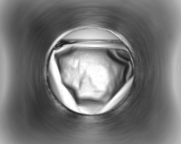 X0000085800904200704091446