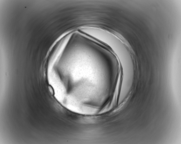 X0000085800908200704091446