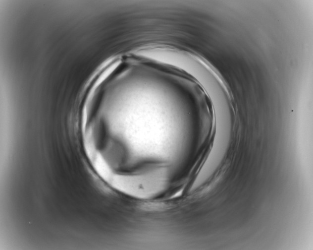 X0000085800909200704091446