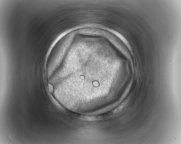 X0000085800911200704091446