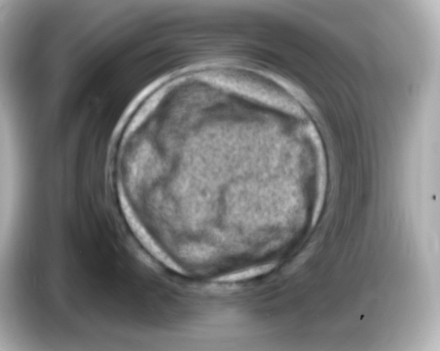 X0000085800912200704091446