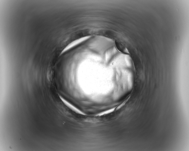 X0000085800914200704091446