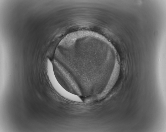 X0000085800916200704091446