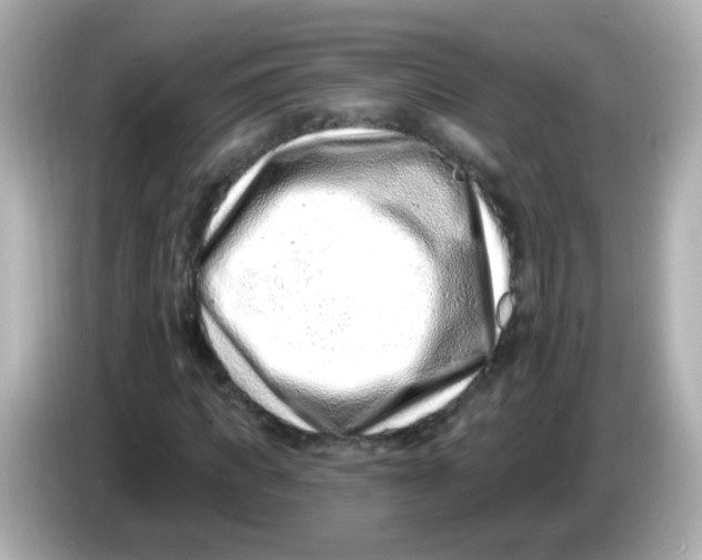 X0000085800917200704091446