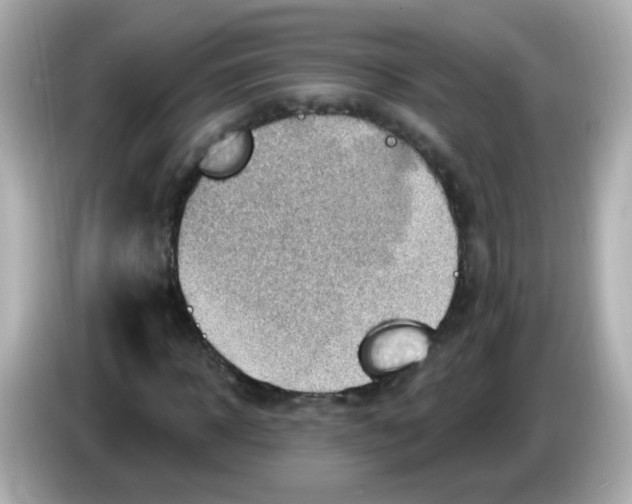 X0000085800918200704091446