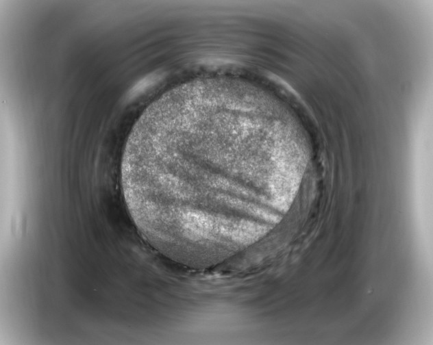 X0000085800919200704091446