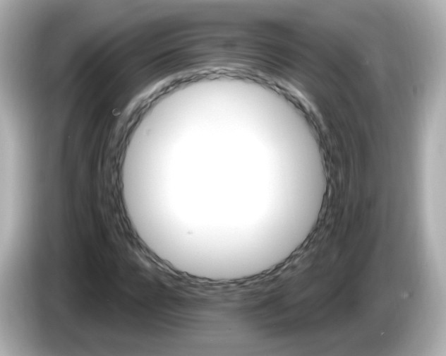 X0000085800920200704091446