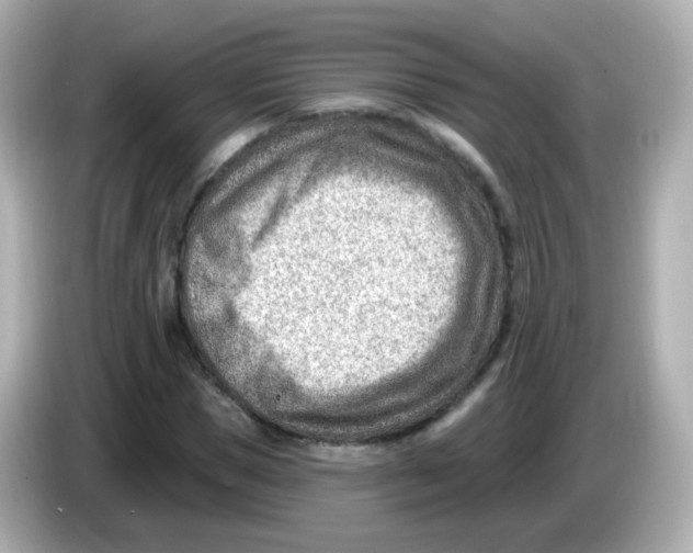 X0000085800921200704091446