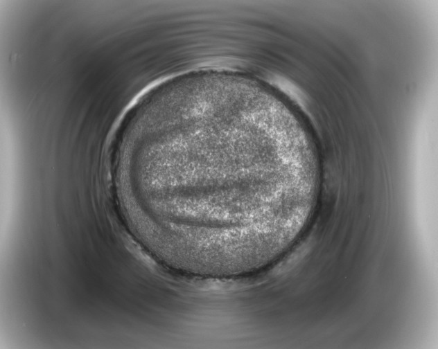 X0000085800923200704091446