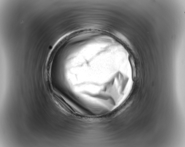 X0000085800924200704091446